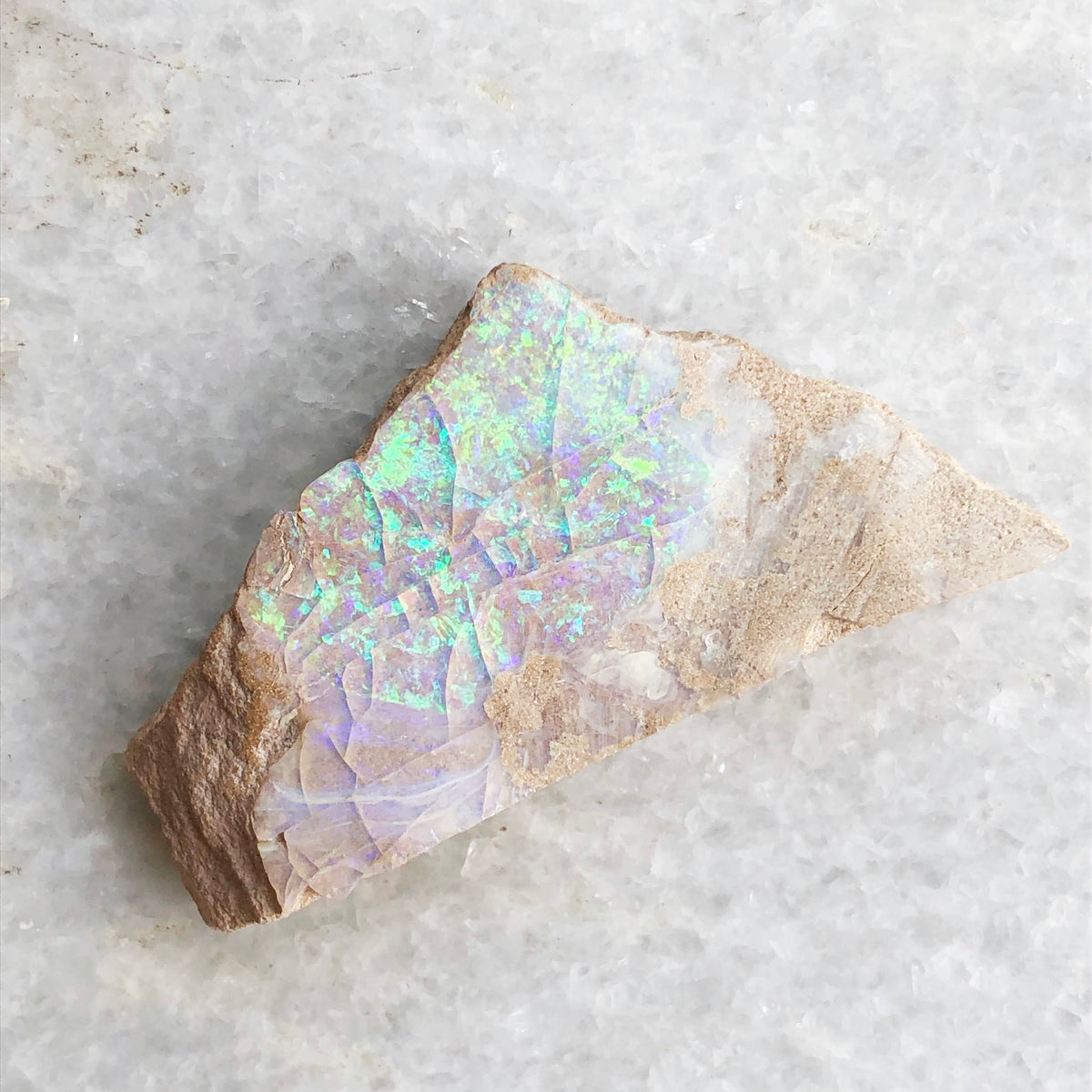 Australian Opal Matrix