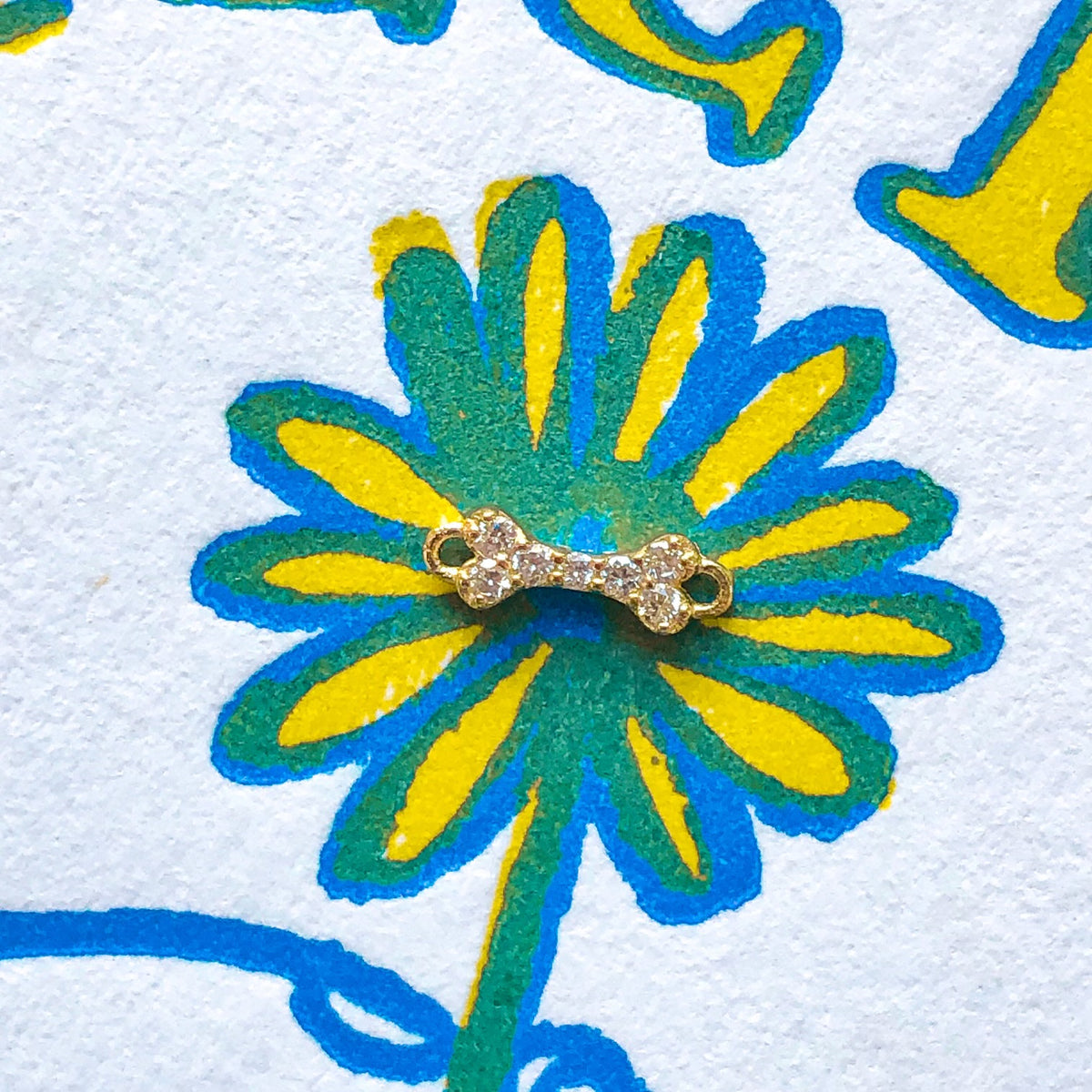 Chew, Diamond Bone Charm