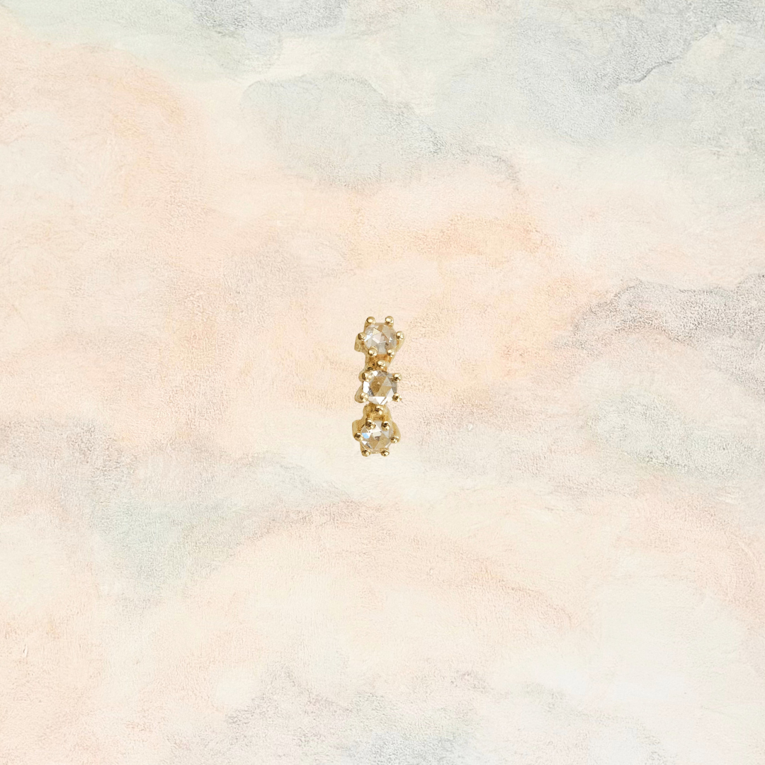 TRUNK SHOW — Le Conte Earrings