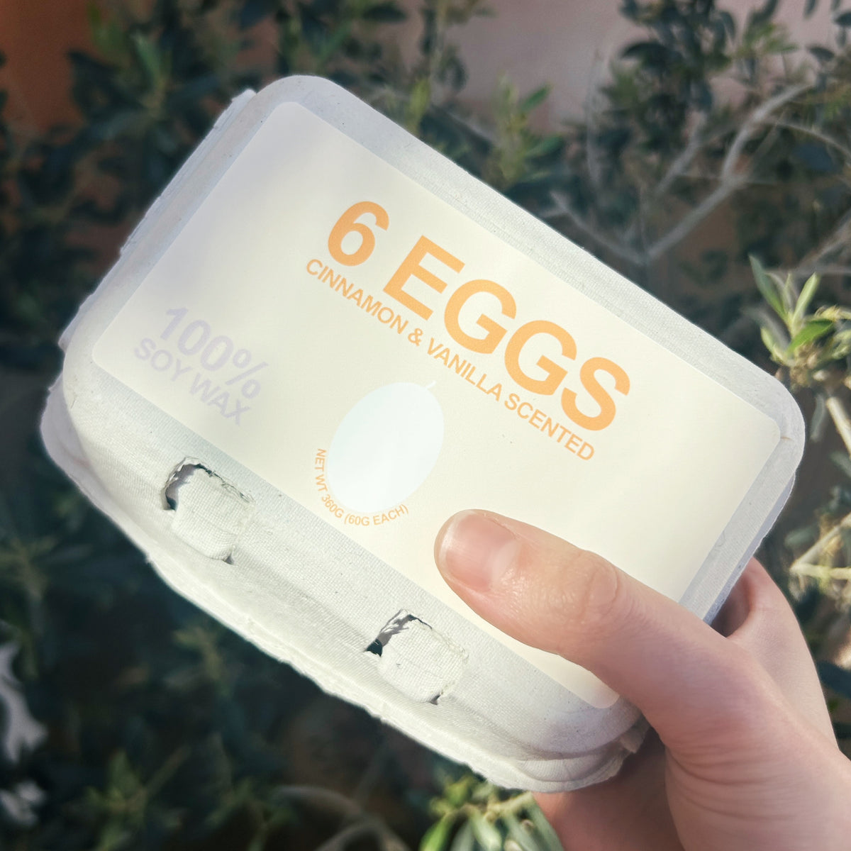 Egg Candle (carton of 6)