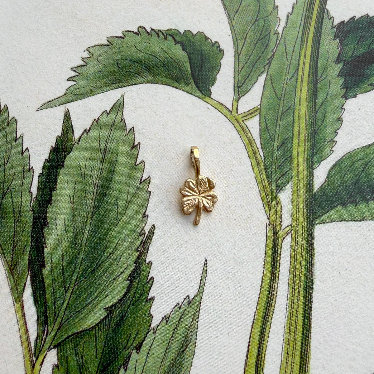 This Luck of Mine, Vintage Four-Leaf Clover Charm