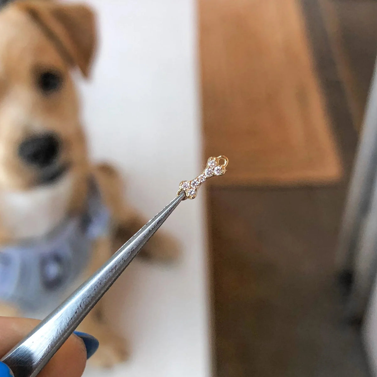 Chew, Diamond Bone Cord Bracelet