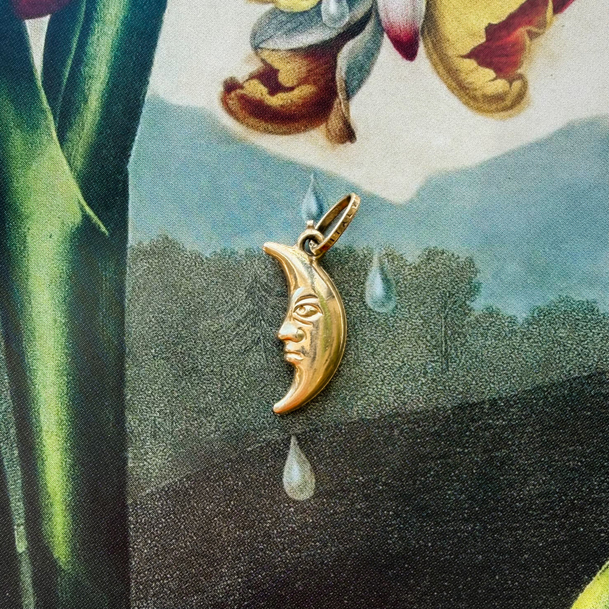 Luna, Vintage Stoic Moon Charm