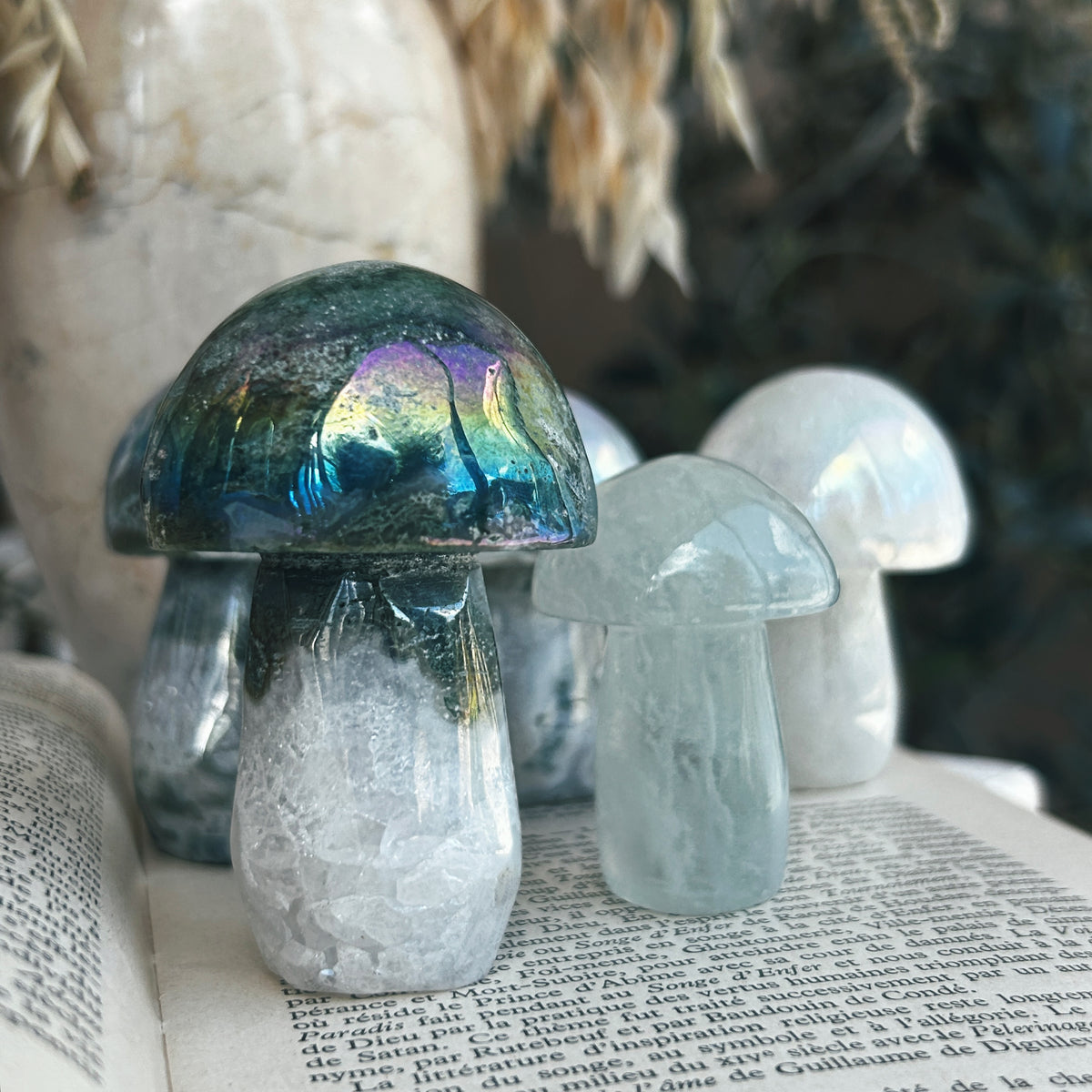 Jumbo Crystal Mushroom