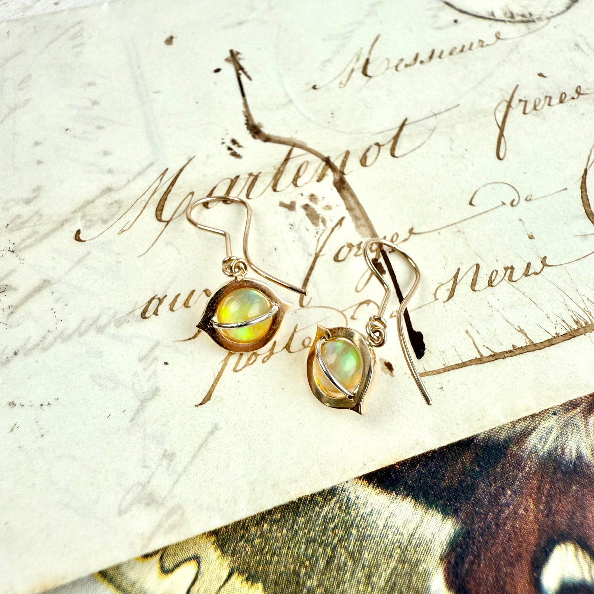 Cat's Eye, Ethiopian Opal Earrings (Round)