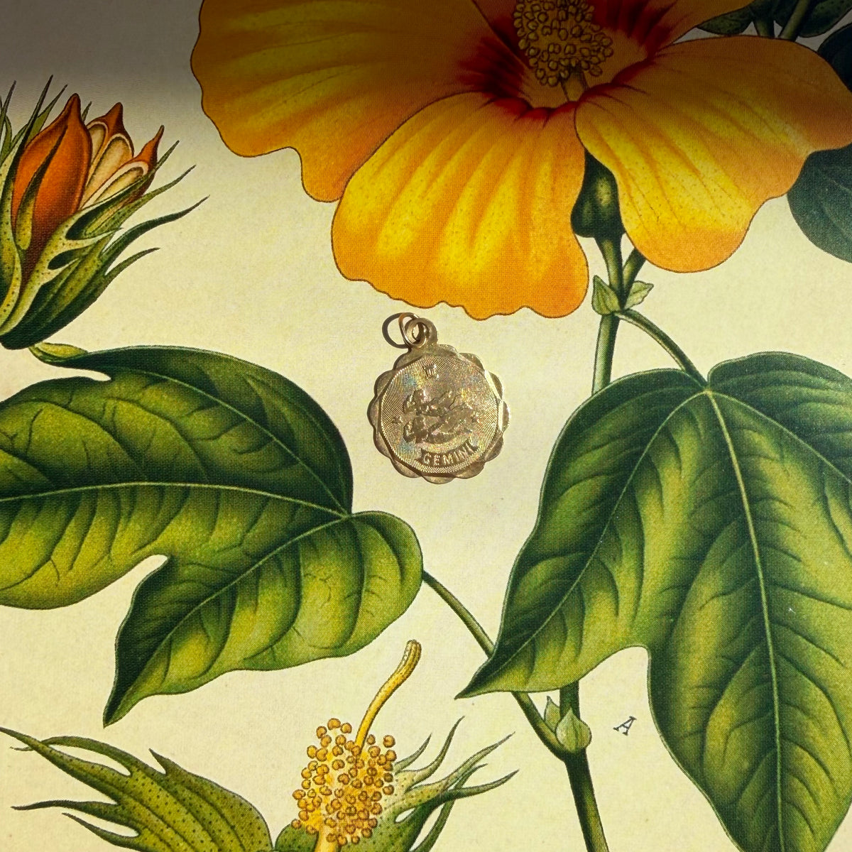 Of Duality, Vintage Scalloped Gemini Charm