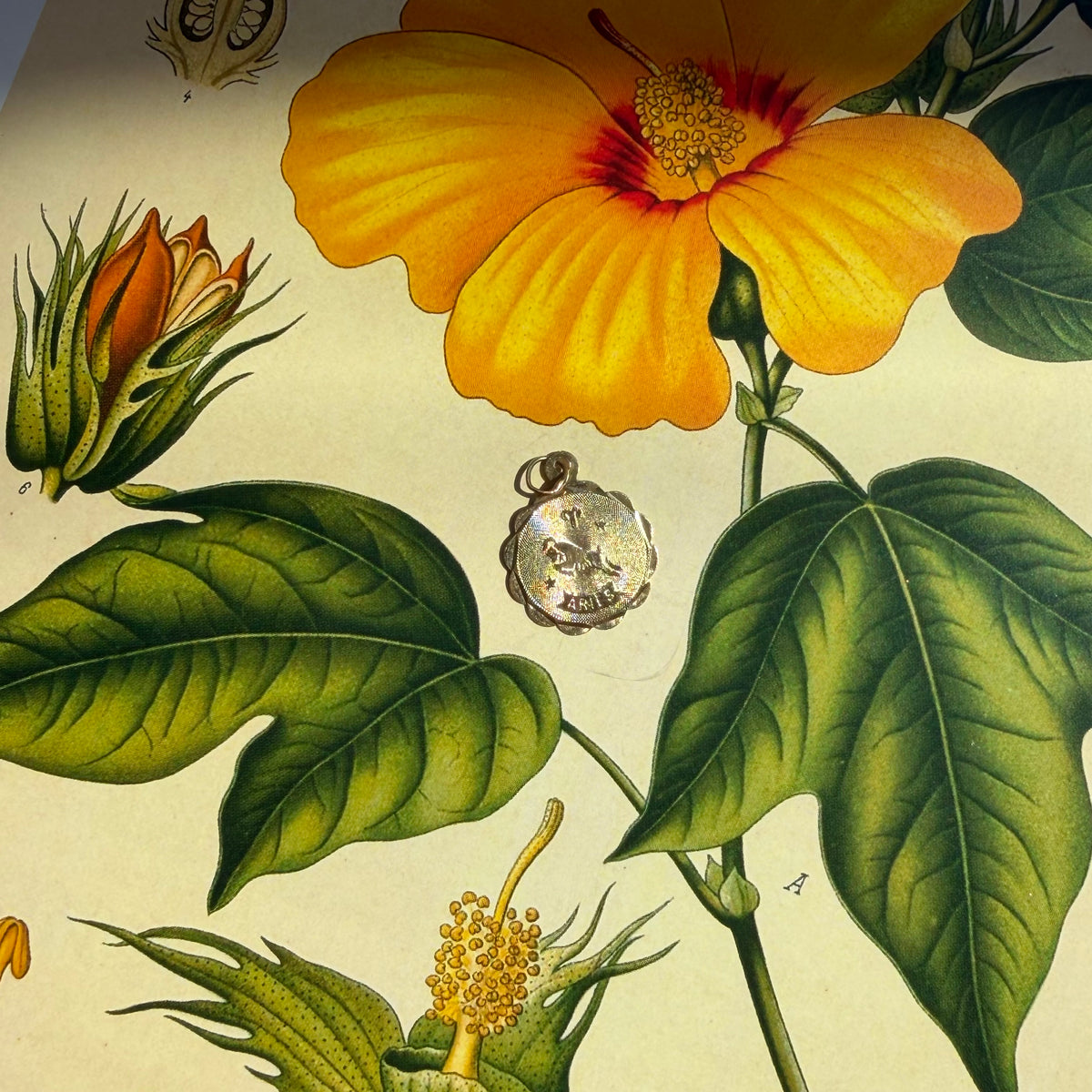 With Courage, Vintage Scalloped Aries Charm