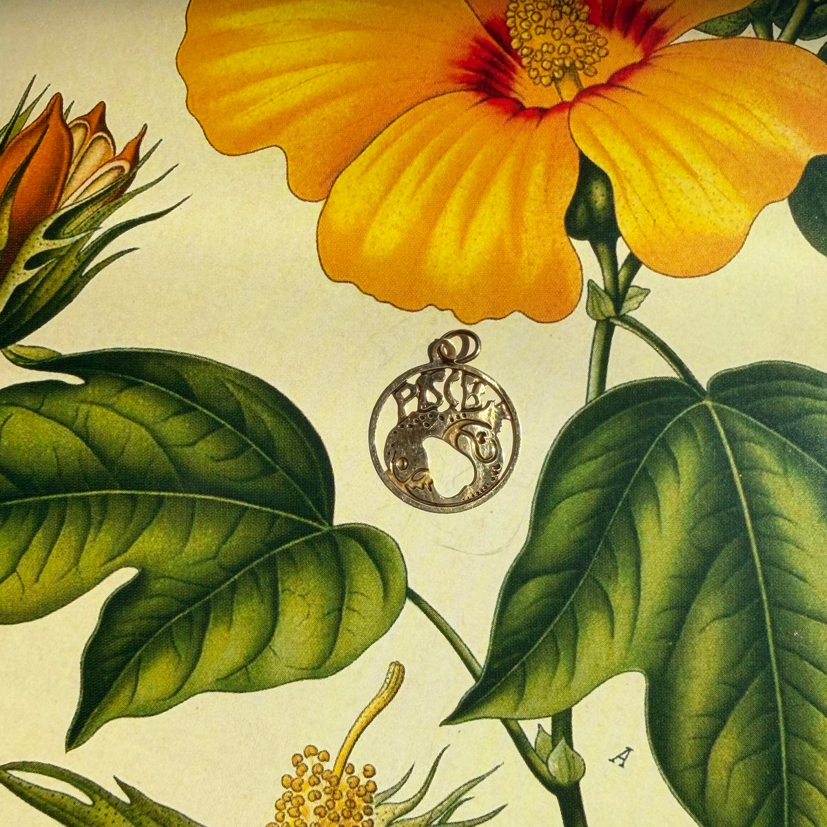 Of Intuition, Vintage Groovy Pisces Charm