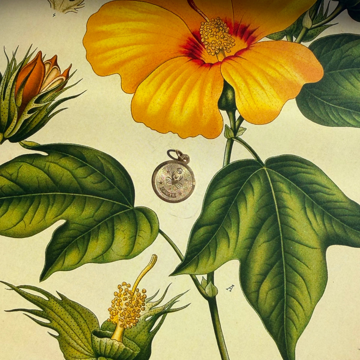 Of Water, Vintage Tiny Cancer Zodiac Charm