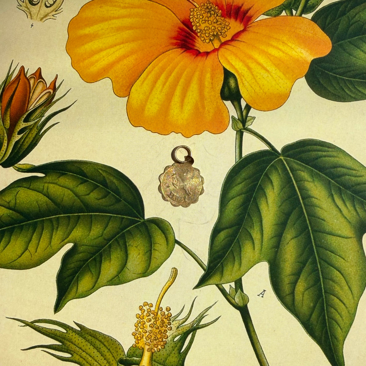With Courage, Vintage Scalloped Aries Charm