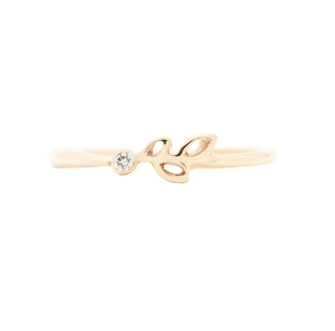 Preorder Dohee Studio Trunk Show — Rings