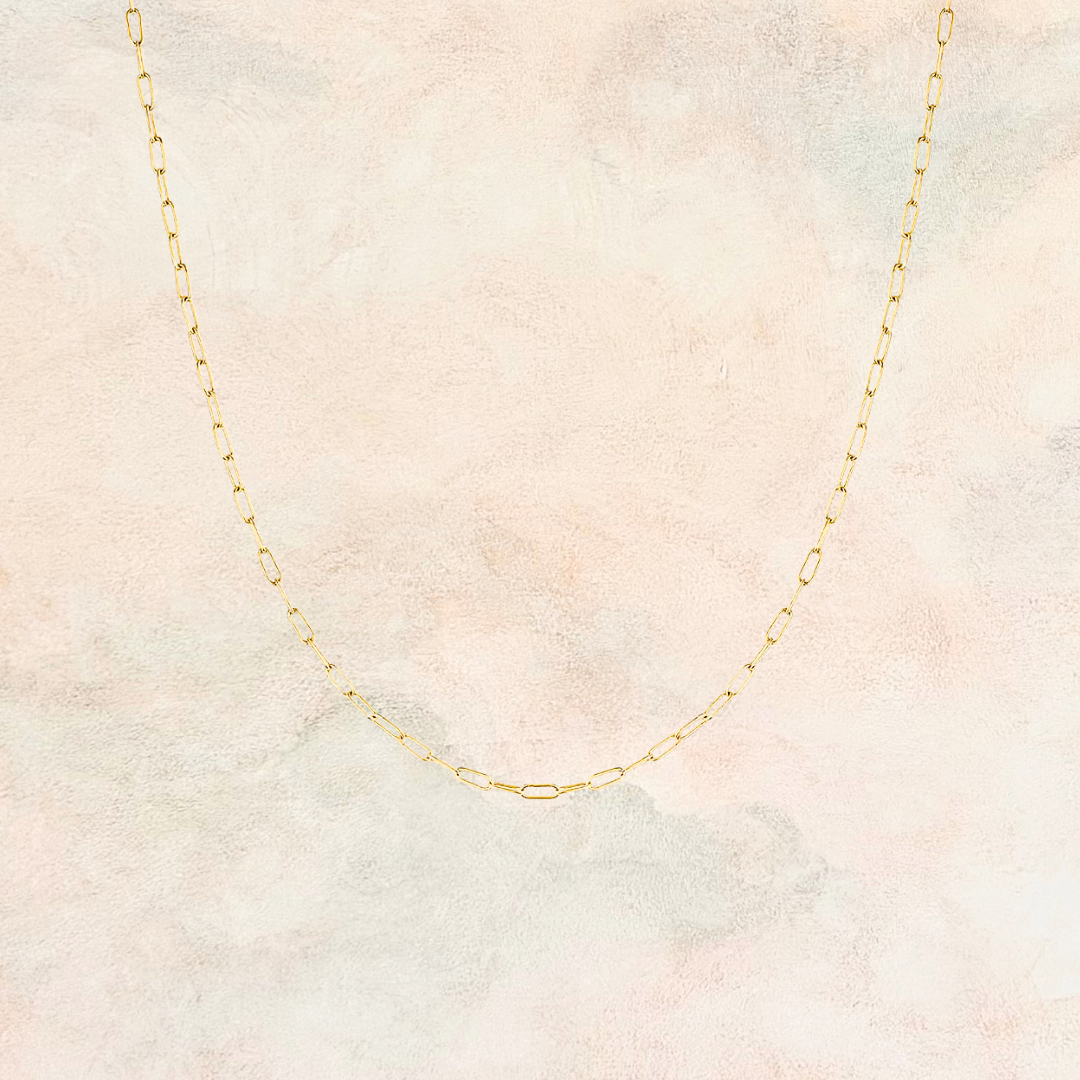 Posy, Paper Clip Chain Necklace