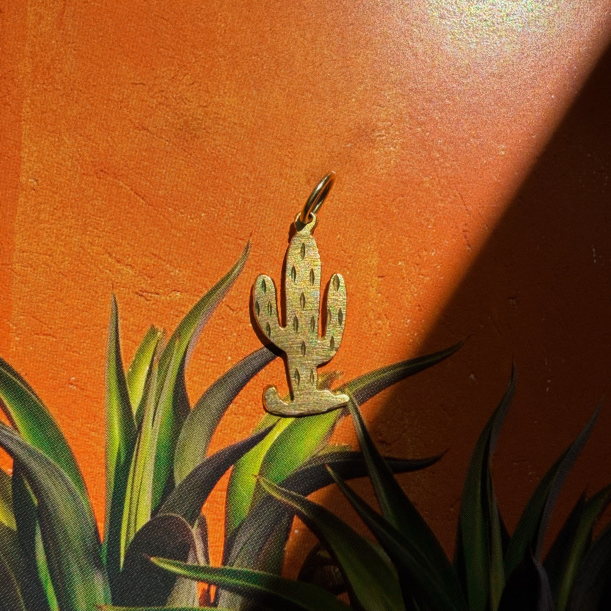 ¡Saguaro Que Sí!, Vintage Cactus Charm