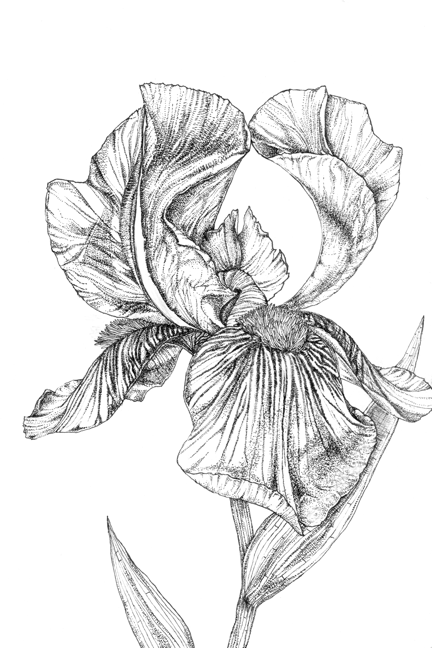 LKM Floral Print